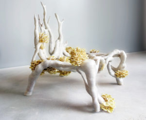 3D Printed Mycelium